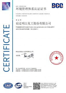 環(huán)境管理體系認(rèn)證證書(shū)